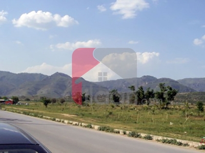 1 Kanal Plot for Sale in D-12/3, Islamabad