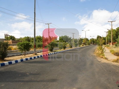 1 kanal plot for sale in Government Employees Cooperative Housing Society, Bahawalpur