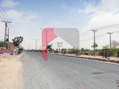10 Acre Land for Sale near Baghdad Station, Hasilpur Road, Bahawalpur