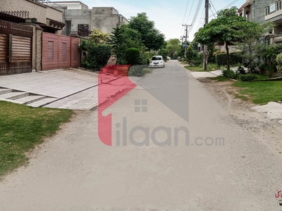 10 Marla House for Rent (First Floor) in Lahore Press Club Housing Scheme, Lahore