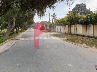 10 Marla House for Rent (Ground Floor) in Block M, Model Town, Lahore