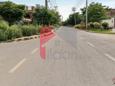 10 Marla House for Rent (Ground Floor) in Lahore Press Club Housing Scheme, Lahore