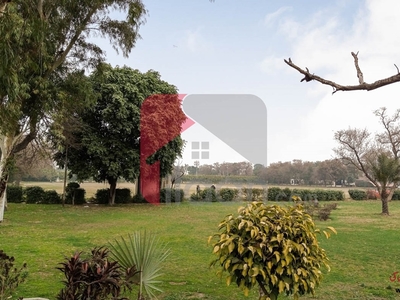 10 Marla House for Rent in Block M, Model Town Extension, Lahore