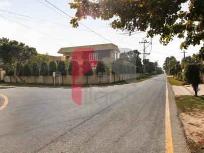 10 Marla House for Rent in Block Q, Phase 2, DHA Lahore