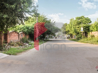 10 Marla House for Rent in Rizwan Garden, Lahore