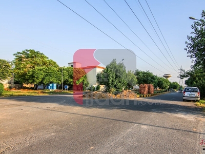 10 Marla House for Sale in Block N, Phase 8 - Air Avenue, DHA Lahore