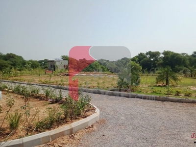 1125 Sq.ft Plot File for Sale in The Life Residencia, Fateh Jhang, Islamabad