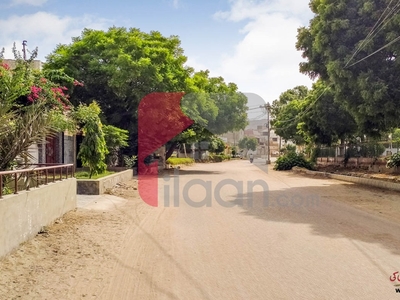 120 Square Yard House for Sale in Sector 15 A 3, Bufferzone, Karachi