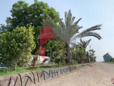 250 Square Yard Plot for Sale in Sindh Small Industries Corporation, Gadap Town, Karachi