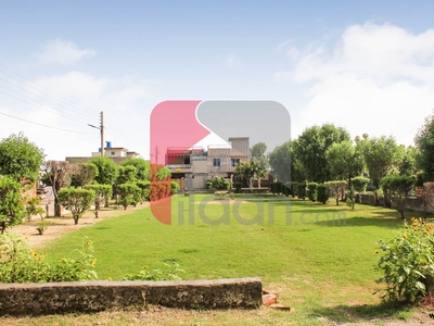 3 Marla Ofiice for Rent in Al Haram Garden, Lahore