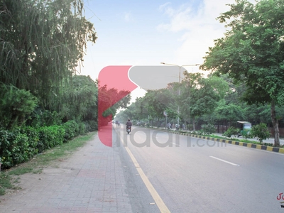 4 Marla House for Rent on Wahdat Road, Lahore