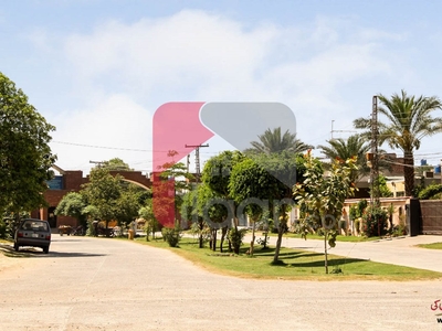 4 marla house for sale in Gulshan-e-Dawood Road, Aitchison Society, Lahore