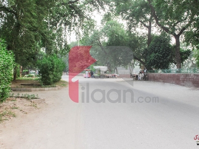4 Marla House for Sale on Wahdat Road, Lahore