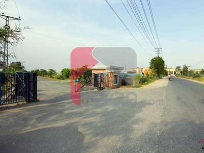 4.5 Marla Plot for Sale in Block D, GTS Cooperative Housing Society, Lahore
