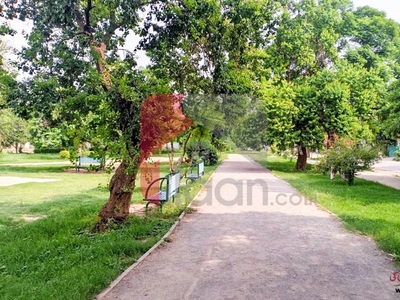 5 Marla House for Rent (Ground Floor) in I-10/4, I-10, Islamabad