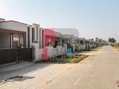 5 Marla House for Rent in Block P, Khayaban-e-Amin, Lahore