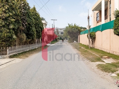 5 Marla House for Rent in Block P, Model Town Extension, Lahore