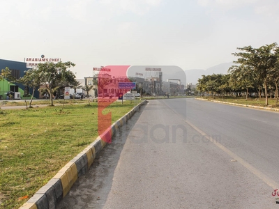 500 Square Yard House for Rent in E-11, Islamabad