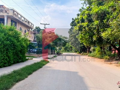 6 Marla House for Rent (Ground Floor) in I-10, Islamabad