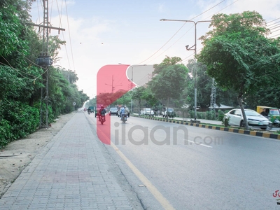 8 Marla House for Rent on Wahdat Road, Lahore