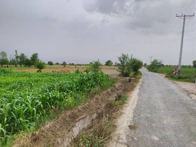 10 Acre Fully Agriculture Land For Sale Front Carpeted Road