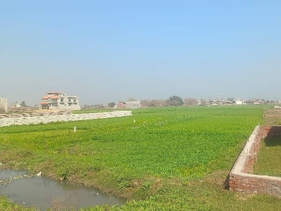 10 canal plot for sale pasrur road