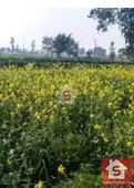 Plot/Land Property For Sale in Attock