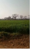 Plot/Land Property For Sale in Chakwal