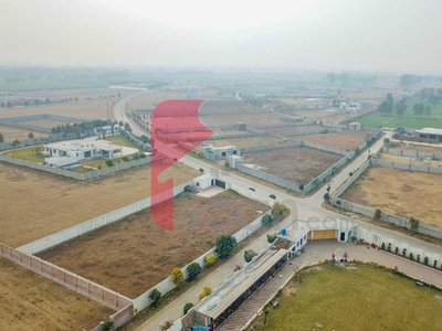 4 Kanal Farm House Plot for Sale in IVY Farms, Barki Road, Lahore