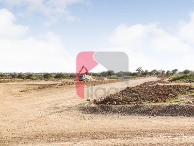 5.2 Marla Plot for Sale in E-12, Islamabad