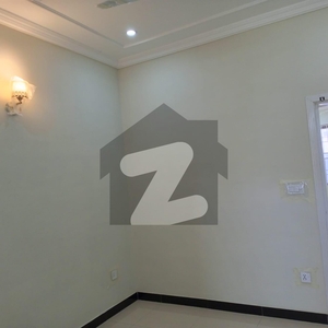 A Brand New House Is Available For Rent D-12