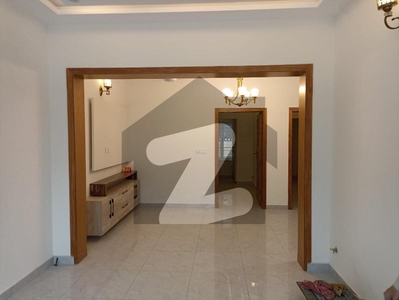 Brand New 5 Bedrooms Independent House In D-12 For Rent D-12