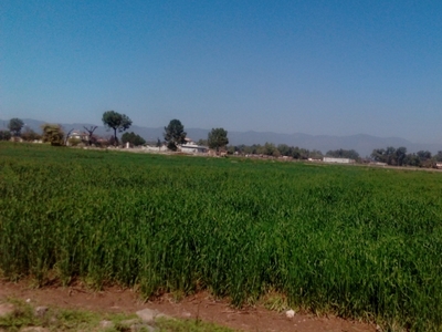 Plot in ISLAMABAD Chak Shahzad Available for Sale