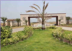 4 Marla House for Sale in Peshawar University Town