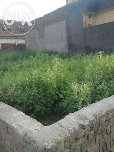 Plot in ISLAMABAD Zone 5 Available for Sale