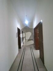 40x80 Ground Portion Available For Rent In I-8 Islamabad I-8