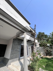 500 Yards Beautiful Bungalow Prime Location Near Hafiz Available For Sale DHA Phase 6