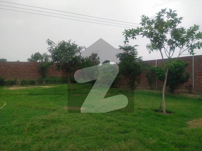 Green Farm House Is Available For Sale In Green Land Bedian Road