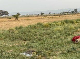 40 Kanal Agricultural Land Chakwal