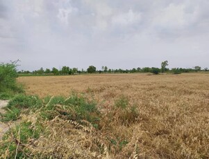 50 Acre Agriculture Land for Sale on Jarranwala to Khurrianwala Road, Faisalabad