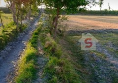Plot/Land Property For Sale in Ghotki