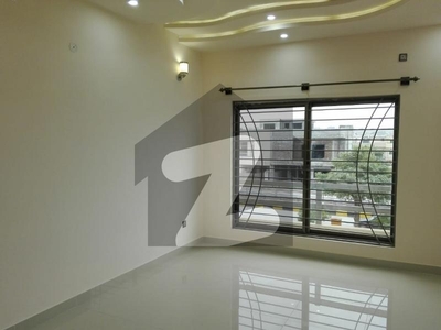 2450 Square Feet Lower Portion For rent In D-12 D-12