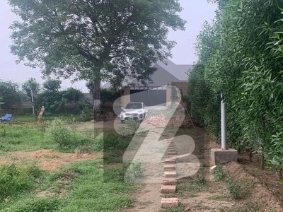 5 Kanal Farm House In Only Rs. 16700000 Bedian