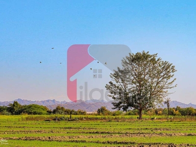 1000 Sq.yd Commercial Plot for Sale in Phase 1, New Town, Gwadar