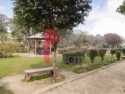 2 Kanal Commercial Plot for Sale in Block D, Faisal Town, Lahore