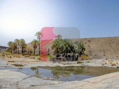 80 Kanal Industrial Land for Sale in Mouza Ziarat Machhi Gharbi, Gwadar