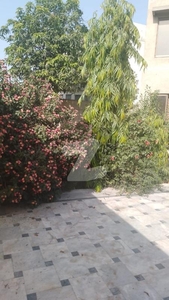 20 Marla Double Storey House For Rent In Zia Town Canal Road Zia Town