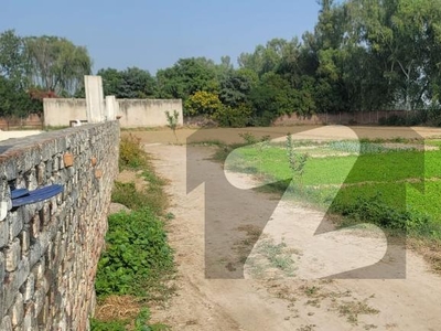 26 Kanal Farmhouse With Dairy Farm For Sale On Main Bedian Road Lahore Bedian Road