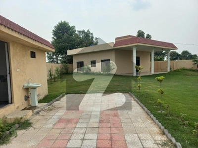 5 Kanal Luxury Farm House Fore Sale At Ferozpur Road With Dairy Farm For Sale Ferozepur Road