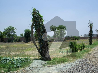 6 kanal land for farm house available for sale. Bedian Road
